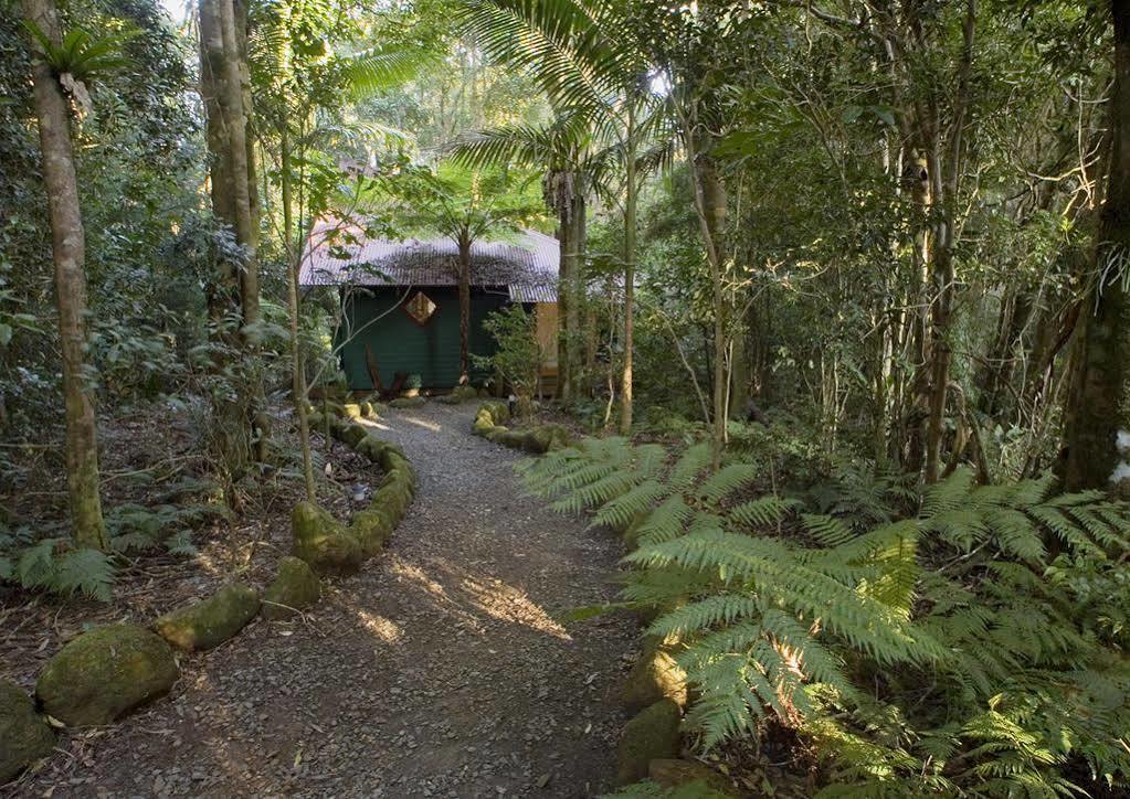 Villa Springbrook Lyrebird Retreat Exterior foto